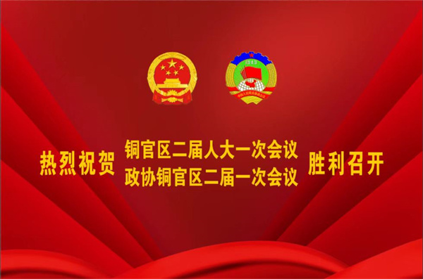 熱烈祝賀公司董事、副總經(jīng)理王從偉被選為 第二屆銅陵市銅官區(qū)政協(xié)常務(wù)委員
